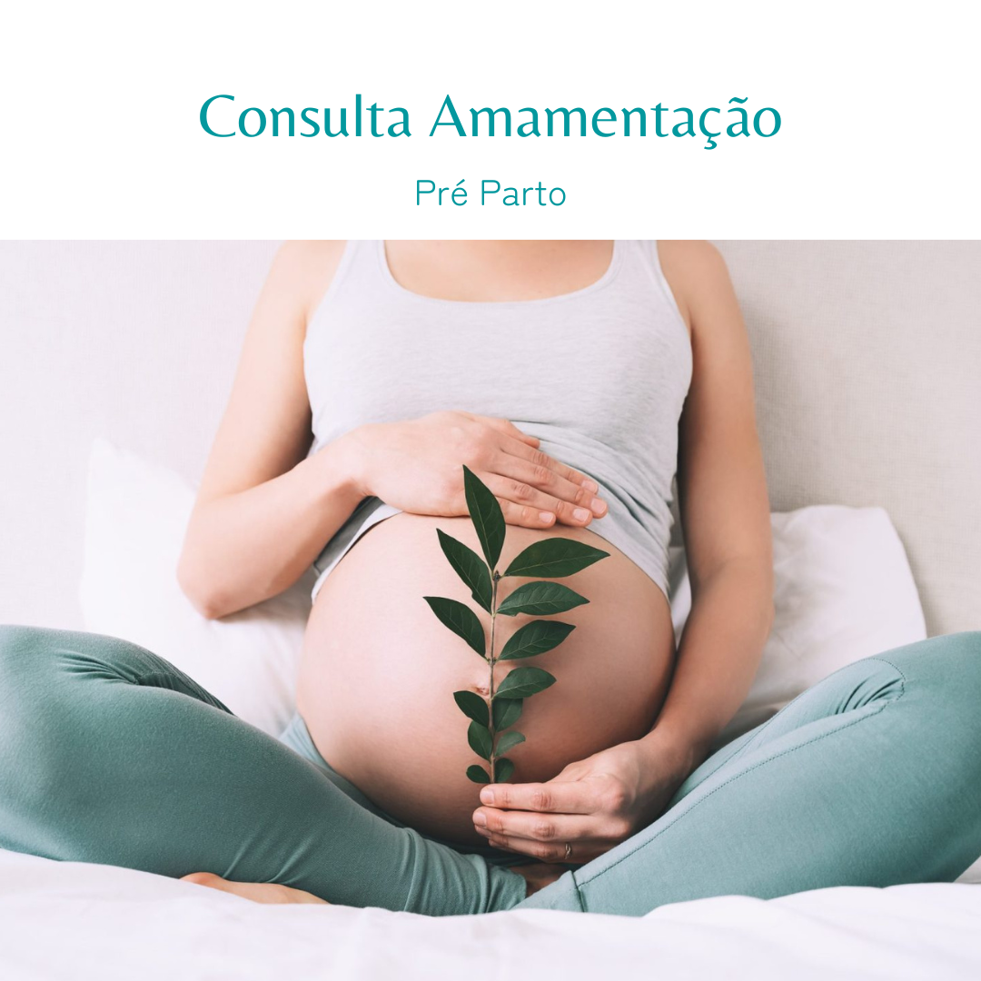 Consulta Amamentação Pré Parto